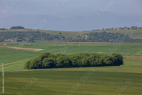Green fields and trees in Sussex with a blue sky overhead
