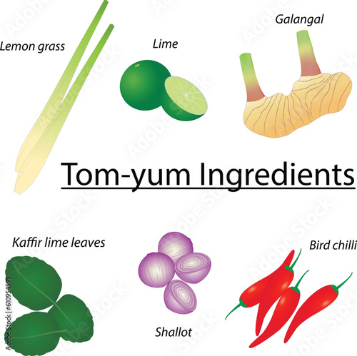 Illustration of Ingredients of Thai dish, Tom yum isolated on white