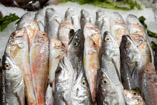 freshly caught fish lined up ready to be sold on the counters of a supermarket