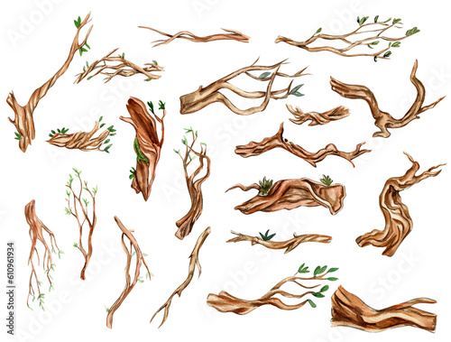 Parts of tree with leaves, branches . Watercolor hand drawn illustration . Perfect for greeting card, poster, wedding invitation, party decor.