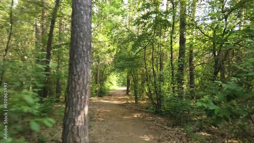 Cycling along the forest path in spring. First-person view. Fresh shade of green. Gimbal shot. Cycling along the forest path in spring. First-person view. Fresh shade of green. Gimbal shot.