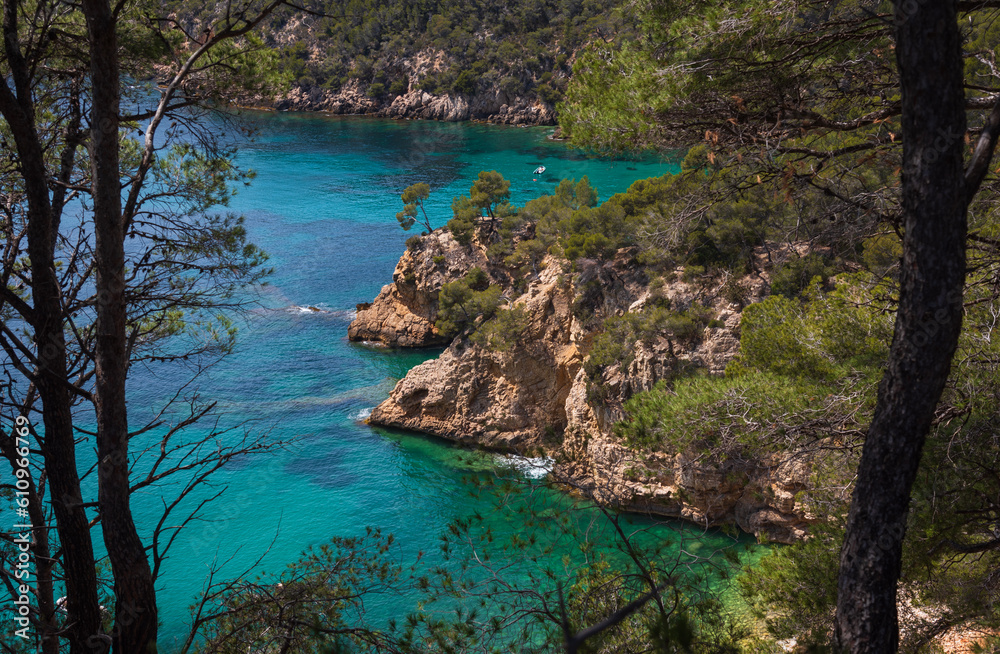Calanque de Port d'Alon landscape (between Saint-Cyr-sur-Mer and Bandol), France. Transparent sea water, pine trees on cliffs. Spectacular view from hiking path. Travel, nature, environment background