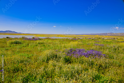 Exploring the back roads of the Carrizo plain in the spring