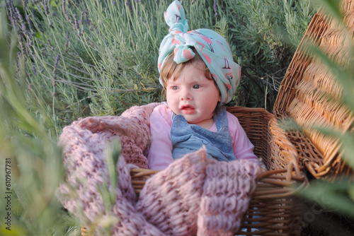 Baby in a basket among lavender flowers