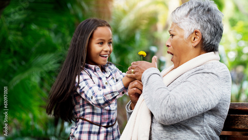 Young girl, grandmother and a surprise flower for senior woman or excited child or family bond with pensioner and giving summer daisy in the park. Happy kid, plant and shock with elderly on the bench