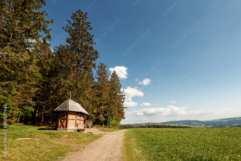 Fototapeta premium Deutschland - Baden-Württemberg - Sankt Märgen - Wanderweg
