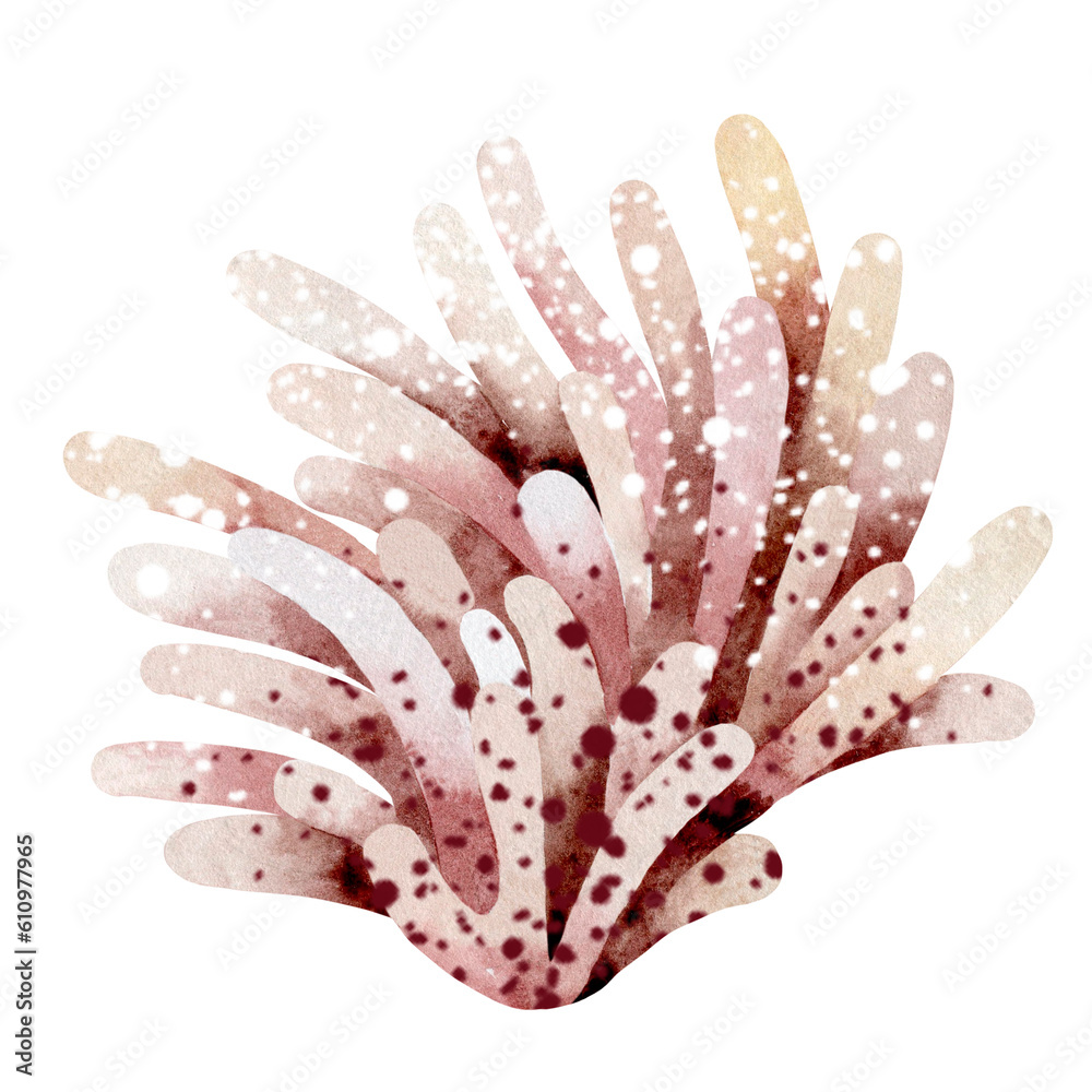 Fototapeta premium Watercolor illustration of underwater sea corals. Marine underwater plants. Illustration isolated on a white background. Postcard, sticker, sublimation.