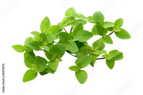 Fresh Spinach Leaves on Transparent Background. Generative AI