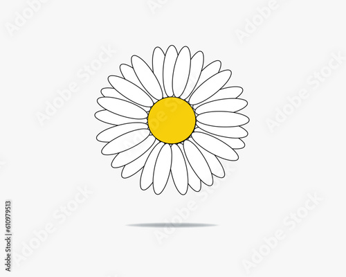 camomile on white background