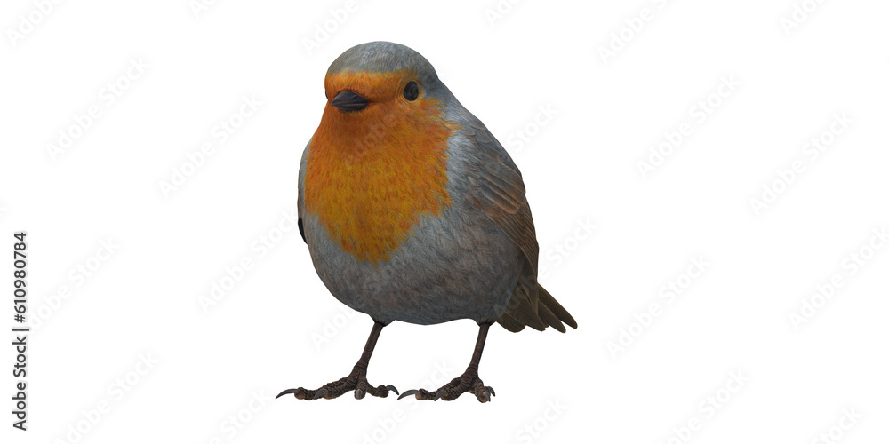 Robin Bird isolated on a Transparent Background Robin Bird isolated on a Transparent Background