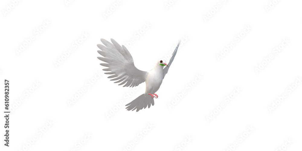 Obraz premium Peace Dove isolated on a Transparent Background