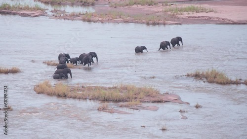 African elephant herd crossing wide river with islets, going to shore.