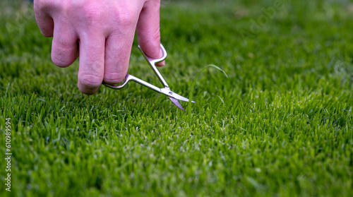 Symbol for a perfectionist who cuts the lawn with small scissors. photo