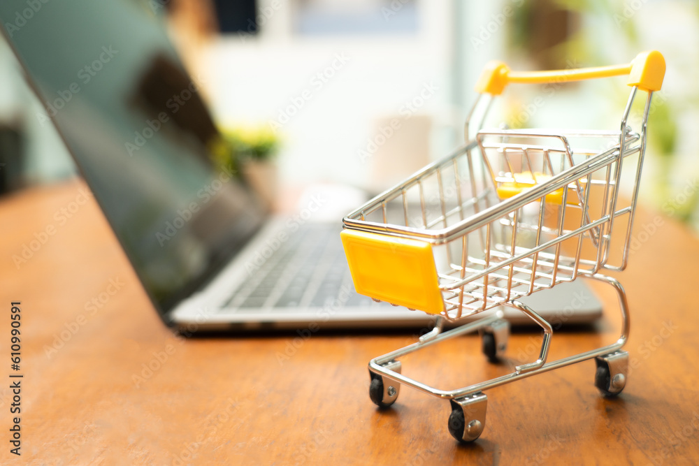 Shopping online with small shopping cart and credit card offers convenient and efficient way to purchase limited number of items, allowing for easy browsing, secure transactions,and seamless checkout.