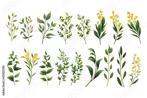 Set of herbal branch. green and gld leaves. Flat hand-drawn illustration isolated on white background. Generative AI photo