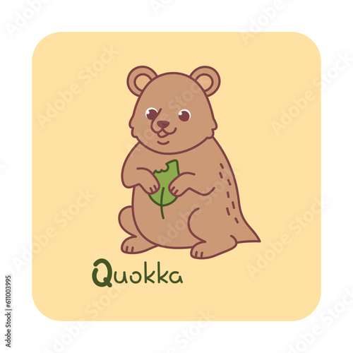 Vector square card from the alphabet with a cute animal for kids learning. The letter Q - quokka. Illustration with caption. Hand-drawn character on a yellow background with a white frame