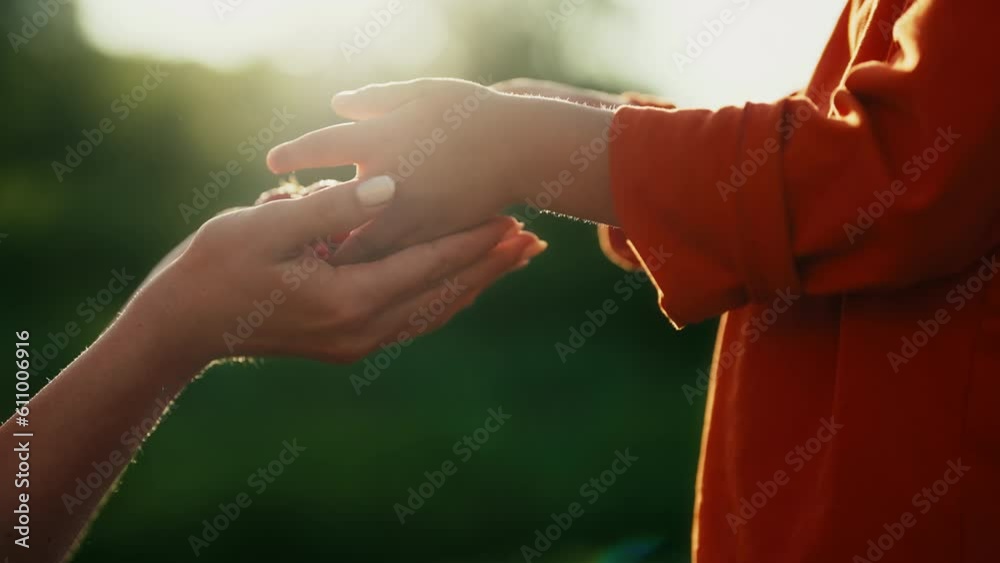 Child pours fresh strawberries picked from garden into mother's palm.Love,sunset Child pours fresh strawberries picked from garden into mother's palm.Love,sunset