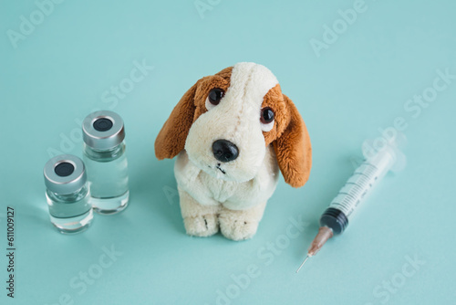 Fotografie 犬のぬいぐるみと注射器　犬のワクチン接種　動物病院