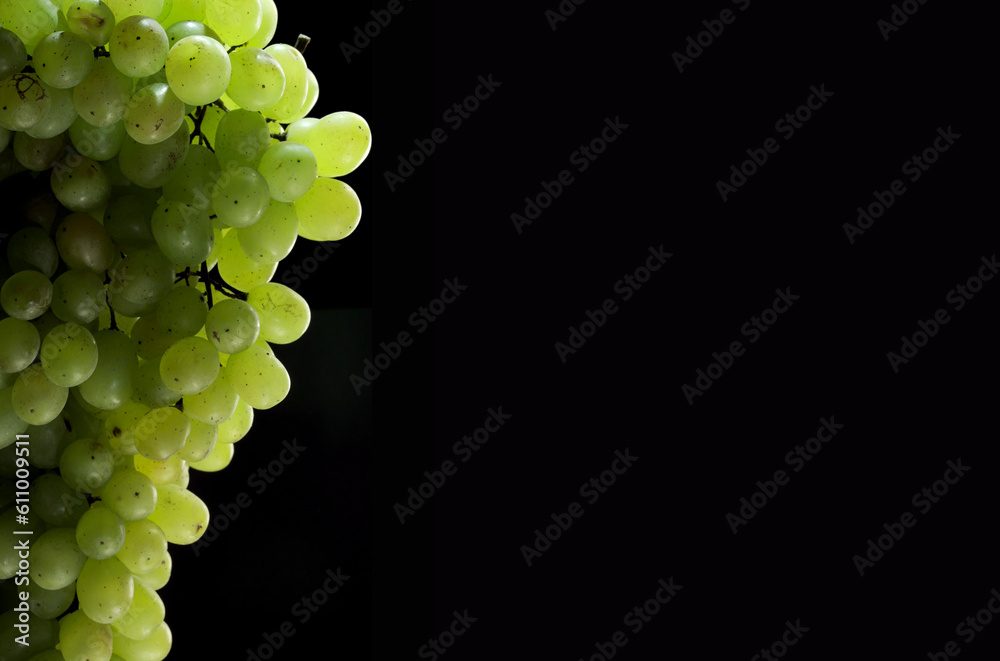 Big bunch of green grapes with water drops on black background - obrazy, fototapety, plakaty 