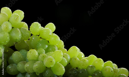 Bunch of green grapes with water drops on black background