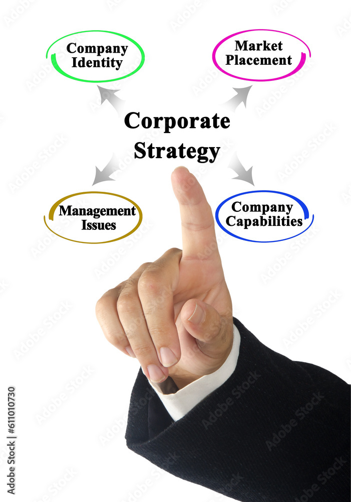 four Areas of Application of Corporate Strategy four Areas of Application of Corporate Strategy