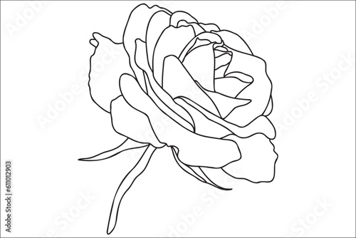 Black and white painted rose with leaves, intended for holidays, postcards, March 8, Valentine ․