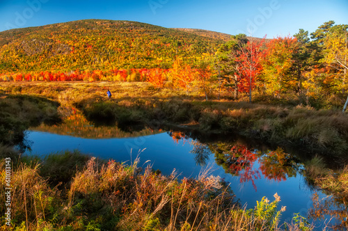 beautiful autumn landscape with mountains in colorful autumn trees on the lake. Acadia National Park. USA. Maine.