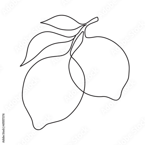 Hand drawn one line lemon branch with leaves. Minimalistic lemon sketch.
