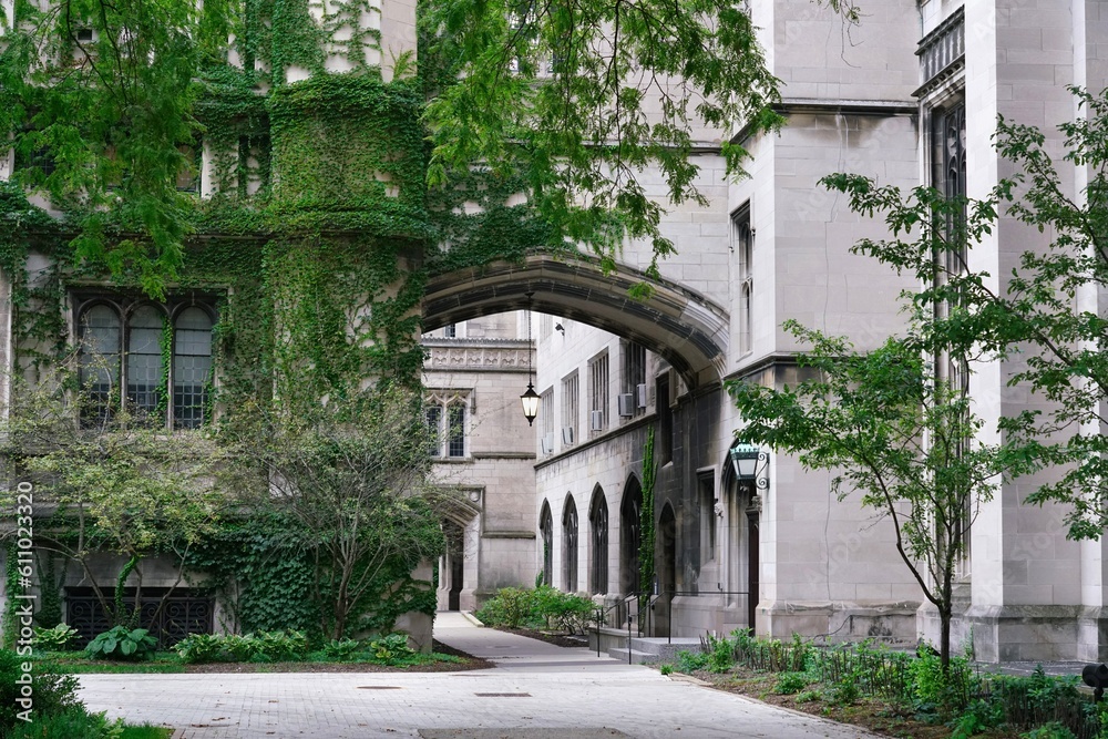 Ivy covered neo-gothic limestone buildings on the campus of the University of Chicago