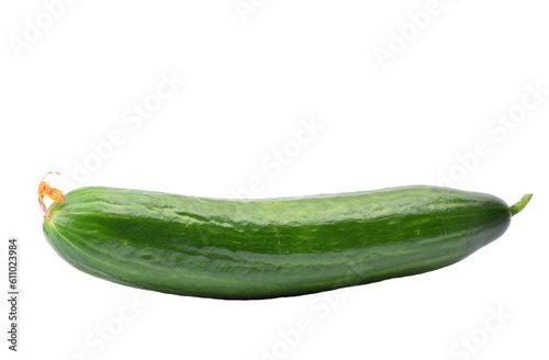 Cucumber isolated 