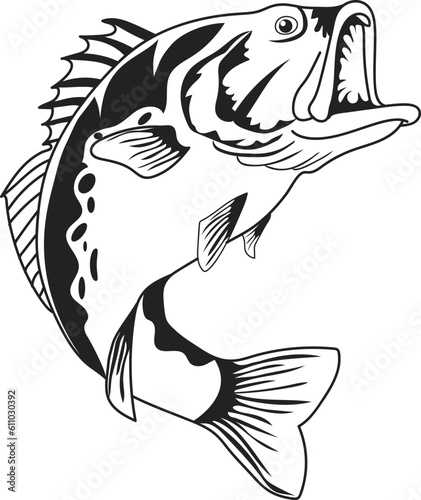 hand drawn bass fish vector