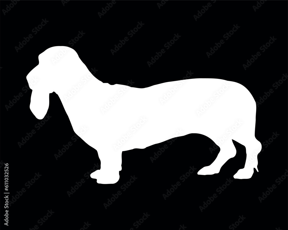 Basset Artésien Normand Dog Vector Silhouette