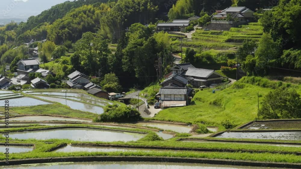 Early summer in a farming village, terraced paddy fields and rice paddies with beautiful blue sky and sunshine