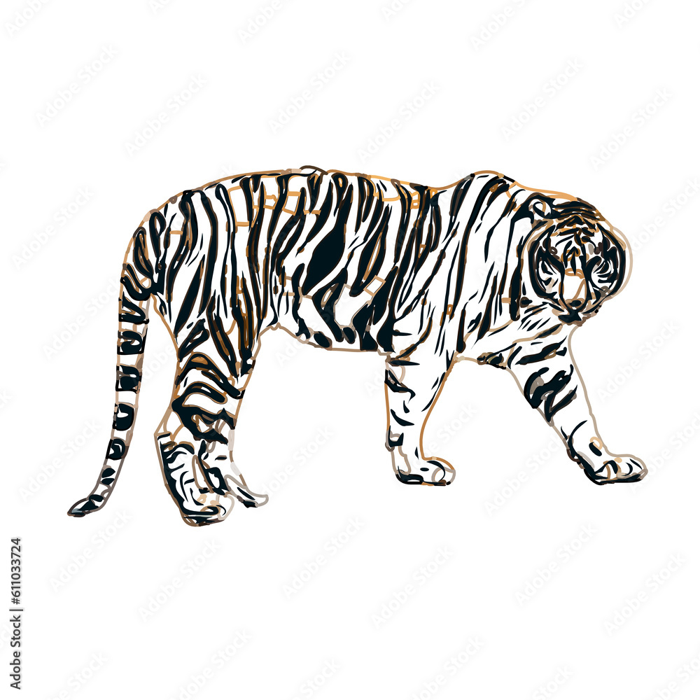 Obraz premium Color sketch of a striped tiger with transparent background