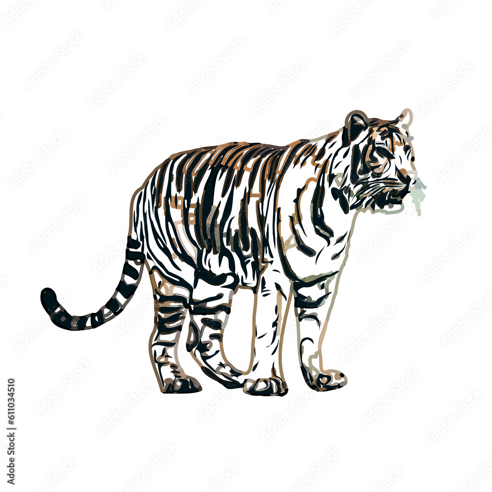 Obraz premium Color sketch of a striped tiger with transparent background