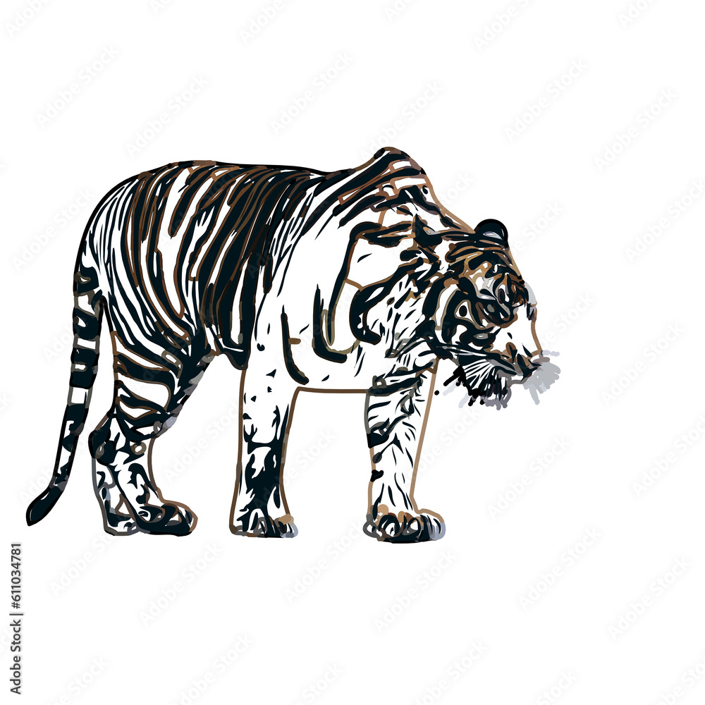 Obraz premium Color sketch of a striped tiger with transparent background