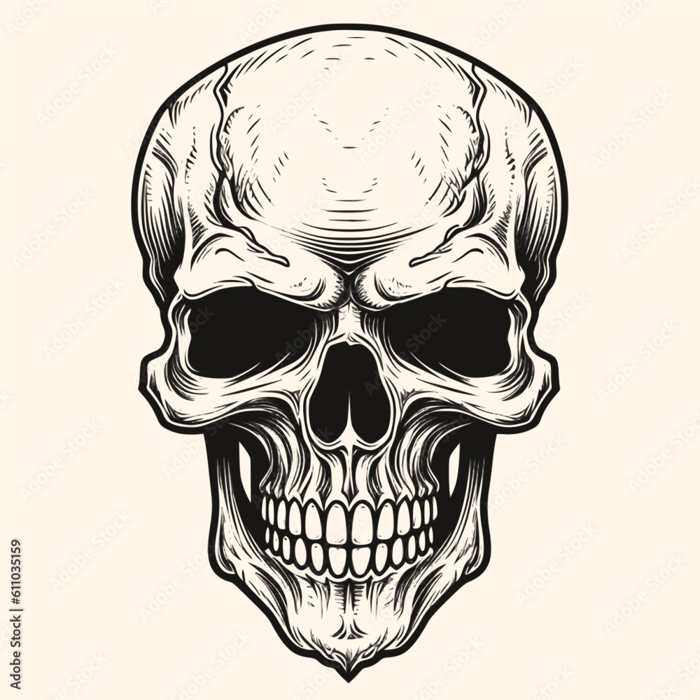 Fototapeta premium Human skull, black and white drawing elegant style