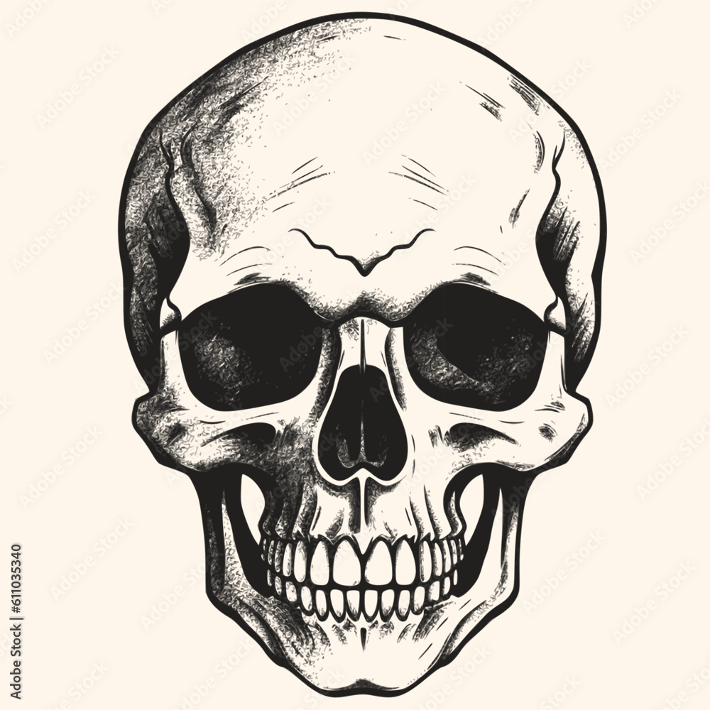 Fototapeta premium Human skull, black and white drawing elegant style