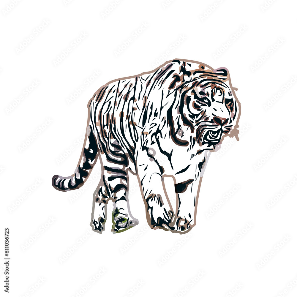 custom made wallpaper toronto digitalColor sketch of a striped tiger with transparent background
