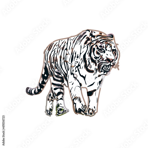 Wallpaper Mural Color sketch of a striped tiger with transparent background Torontodigital.ca
