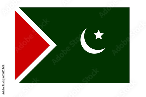 istehkam e pakistan party flag .