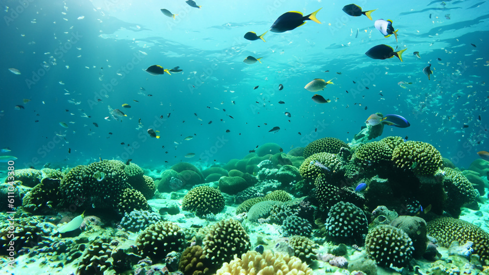 Obraz premium Wonderful and beautiful underwater world with corals and tropical fish. - generative ai