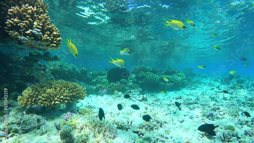 Wonderful and beautiful underwater world with corals and tropical fish. - generative ai