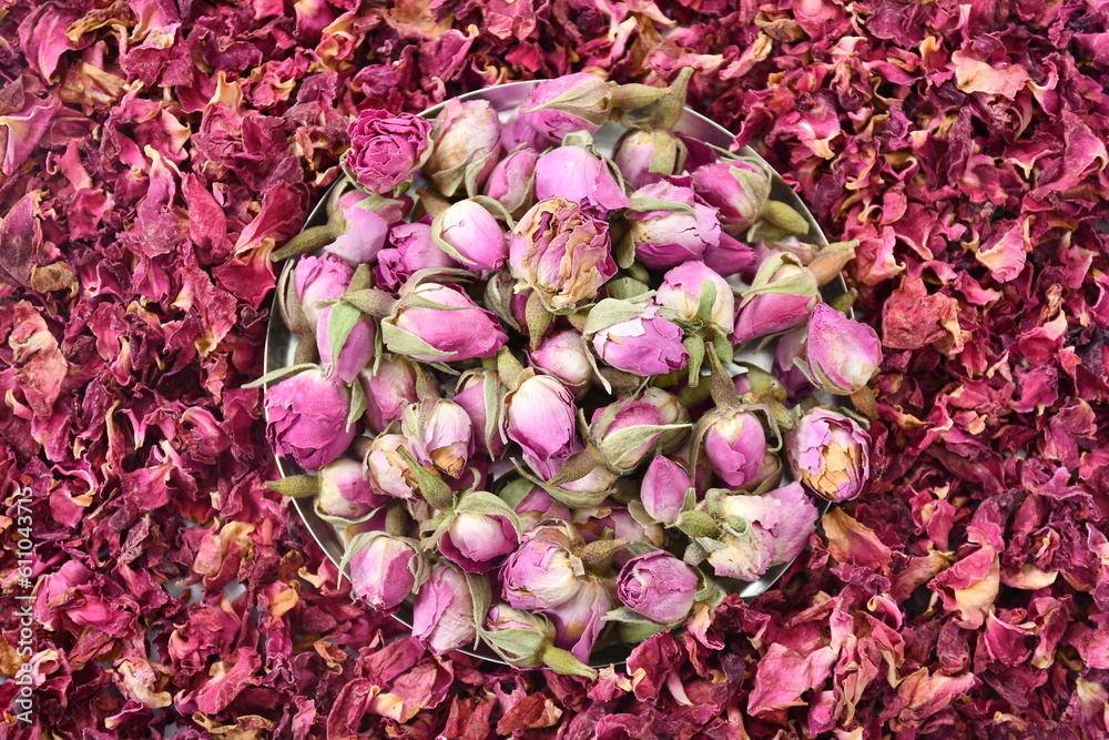 pink rose petals
