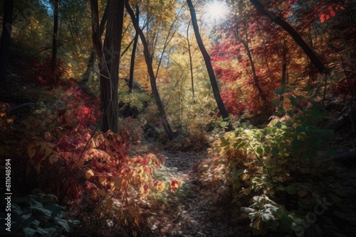 a forest with colorful leaves and sunlight shining through, created with generative ai