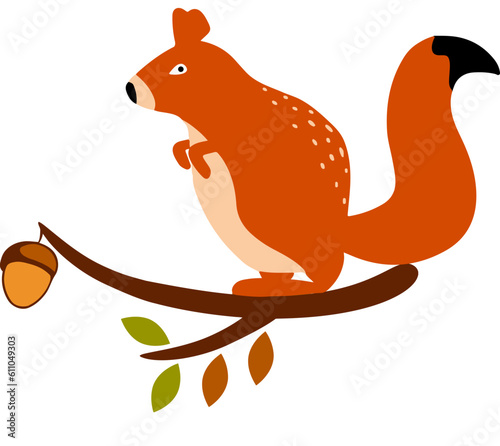 Squirrel with acorn nut, vector or color illustration. Pro Vector
