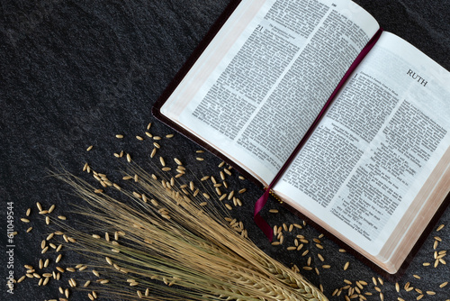 Photography Ruth open holy bible book with barley stalk and ripe grains on dark background