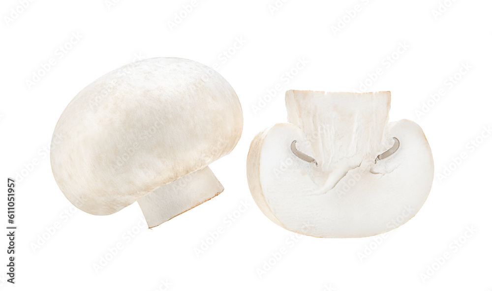 Mushroom champignon isolated on transparent png Mushroom champignon isolated on transparent png
