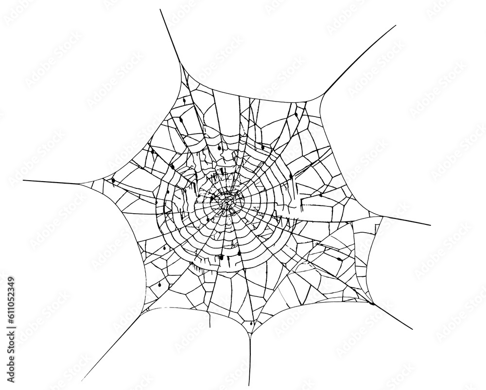 Obraz premium Cobweb or spider web isolated. Png transparency