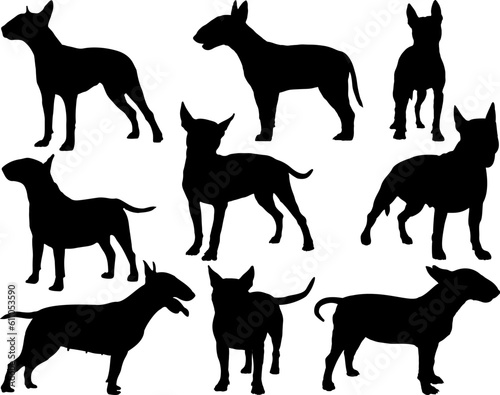 Принти на полотні Set of Bull Terrier Dogs Silhouette
